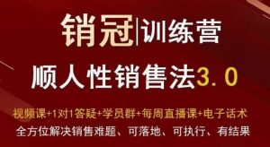 爆款！销冠训练营3.0之顺人性销售法，全方位解决销售难题、可落地、可执行、有结果-创业资源网