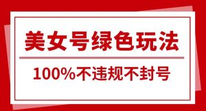 美女号引流变现新玩法,长期蓝海纯绿色,不封号不违规,每日收益500+-创业资源网