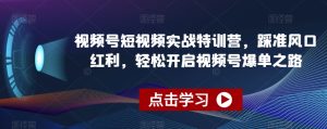 视频号短视频实战特训营，踩准风口红利，轻松开启视频号爆单之路-创业资源网
