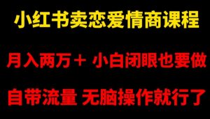 小红书卖恋爱情商课程,月入两万+,小白闭眼也要做,自带流量,无脑操作就行了【揭秘】-创业资源网