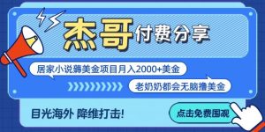 拆解海外撸美金项目月入2000美刀详细指导-创业资源网