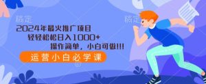 2024年最火推广项目，轻轻松松日入1000+，操作简单，小白可做-创业资源网