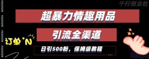 最新情趣项目引流全渠道,自带高流量,保姆级教程,轻松破百单,日引500+粉【揭秘】-创业资源网