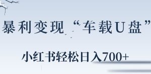 小红书“车载U盘”暴利引流,日入700+-创业资源网