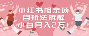 小红书相亲项目玩法拆解,有人通过这个副业项目做到了月收入2万多【揭秘】-创业资源网