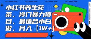 小红书养生花茶,冷门暴力项目,最适合小白做,月入【1W+】-创业资源网