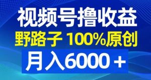 视频号野路子撸收益,100%原创,条条爆款,月入6000+【揭秘】-创业资源网