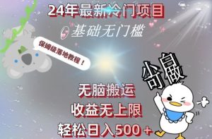 2024最新冷门项目，无脑搬运，收益无上限，轻松日入500＋，保姆级落地教程-创业资源网
