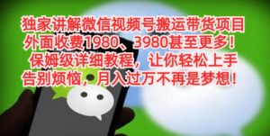 独家讲解微信视频号搬运带货项目,保姆级详细教程-创业资源网