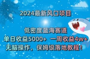 2024最新风口项目,低密度蓝海赛道,单日收益5000+,一周收益4w+!【揭秘】-创业资源网