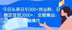 今日头条日引300+创业粉,日稳定变现2000+,全程搬运,无脑操作-创业资源网