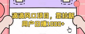 滴滴风口项目，靠拉新用户日赚1000+-创业资源网