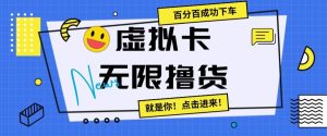 虚拟卡无限撸货,百分百成功下车【仅揭秘】-创业资源网