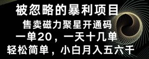 被忽略的暴利项目!售卖磁力聚星开通码,一单20,一天十几单,轻松月入五六千-创业资源网