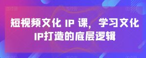 短视频文化IP课，学习文化IP打造的底层逻辑-创业资源网