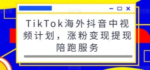 TikTok海外抖音中视频计划,涨粉变现提现陪跑服务-创业资源网