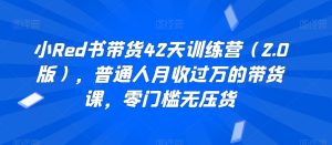 小Red书带货42天训练营,普通人月收过万的带货课,零门槛无压货-创业资源网