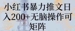 小红书暴力推文日入200+无脑操作可矩阵【揭秘】-创业资源网