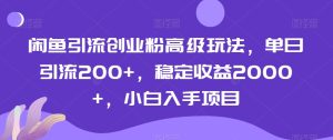 闲鱼引流创业粉高级玩法,单日引流200+,稳定收益2000+,小白入手项目-创业资源网