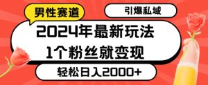 2024年最新男性赛道玩法,引爆私域流量,1个粉丝就变现,轻松日入2000+-创业资源网