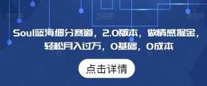 Soul蓝海细分赛道,2.0版本,做情感掘金,轻松月入过万,0基础,0成本-创业资源网