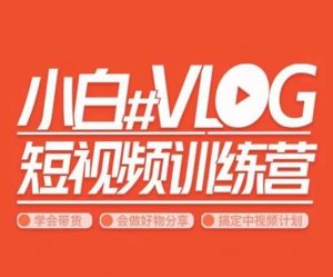 小呆说视–小白VLOG短视频训练营,学会带货、好物、直播、中视频-创业资源网