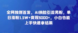 全网独创首发,AI换脸引流男粉,单日涨粉1.5W+变现3000+,小白也能上手快速拿结果【揭秘】-创业资源网