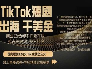 TikTok短剧出海干美金,商业已经闭环抓紧布局,抢占关键词抢占排名-创业资源网