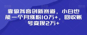靠做抖音创新赛道,小白也能一个月涨粉10万+,回收账号变现2万+【揭秘】-创业资源网