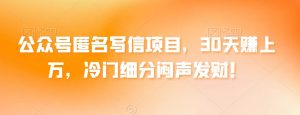公众号匿名写信项目,30天赚上万,冷门细分闷声发财!-创业资源网