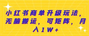 小红书商单升级玩法，无脑搬运，可矩阵，月入1W+-创业资源网