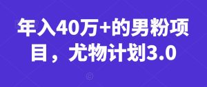 年入40万+的男粉项目,尤物计划3.0-创业资源网