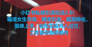 小红书私域引流玩法2.0!瞄准女生市场,精准引流,超高转化,简单上手【揭秘】-创业资源网