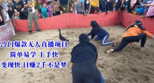 冷门爆款无人直播项目，简单易学上手快，变现快日赚2千不是梦【揭秘】-创业资源网