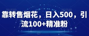靠转售烟花,日入500,引流100+精准粉-创业资源网