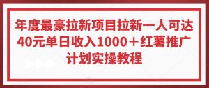 年度最豪拉新项目拉新一人可达40元单日收入1000+红薯推广计划实操教程【揭秘】-创业资源网