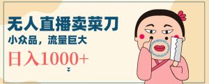 无人冷门品直播新玩法，通过卖菜刀日入1000+【揭秘】-创业资源网