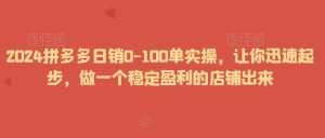 2024拼多多日销0-100单实操，让你迅速起步，做一个稳定盈利的店铺出来-创业资源网