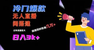 冷门爆款直播间手把手搭建，流量巨大，日入3k+【揭秘】-创业资源网