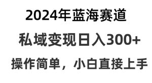 2024抖音蓝海赛道,私域变现日入300+,操作简单,每年只需一小时,纯小白可直接上手-创业资源网