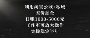 利用淘宝公域+私域差价掘金,日赚1000-5000元,工作室可放大操作,实操稳定半年【揭秘】-创业资源网