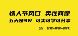 情人节风口!卖性商课,小白五天赚3W,可卖可学可分享!-创业资源网