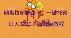 网盘拉新野路子，一键托管有号就行，全自动代发视频，每日躺赚2000＋，保姆级落地教程-创业资源网