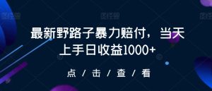 最新野路子暴力赔付，当天上手日收益1000+【仅揭秘】-创业资源网