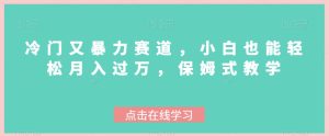 冷门又暴力赛道，小白也能轻松月入过万，保姆式教学-创业资源网