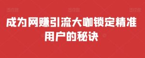 成为网赚引流大咖锁定精准用户的秘诀-创业资源网