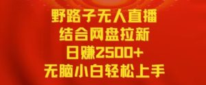 野路子无人直播结合网盘拉新,日赚2500+,小白无脑轻松上手【揭秘】-创业资源网