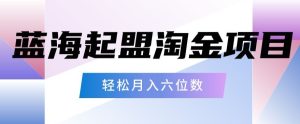 起盟淘金项目，月入六位数，新手小白轻松上手-创业资源网