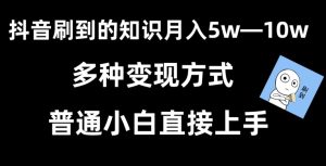 抖音刷到的知识,每天只需2小时,日入2000+,暴力变现,普通小白直接上手【揭秘】-创业资源网