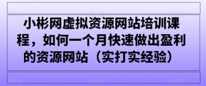 小彬网虚拟资源网站培训课程，如何一个月快速做出盈利的资源网站-创业资源网